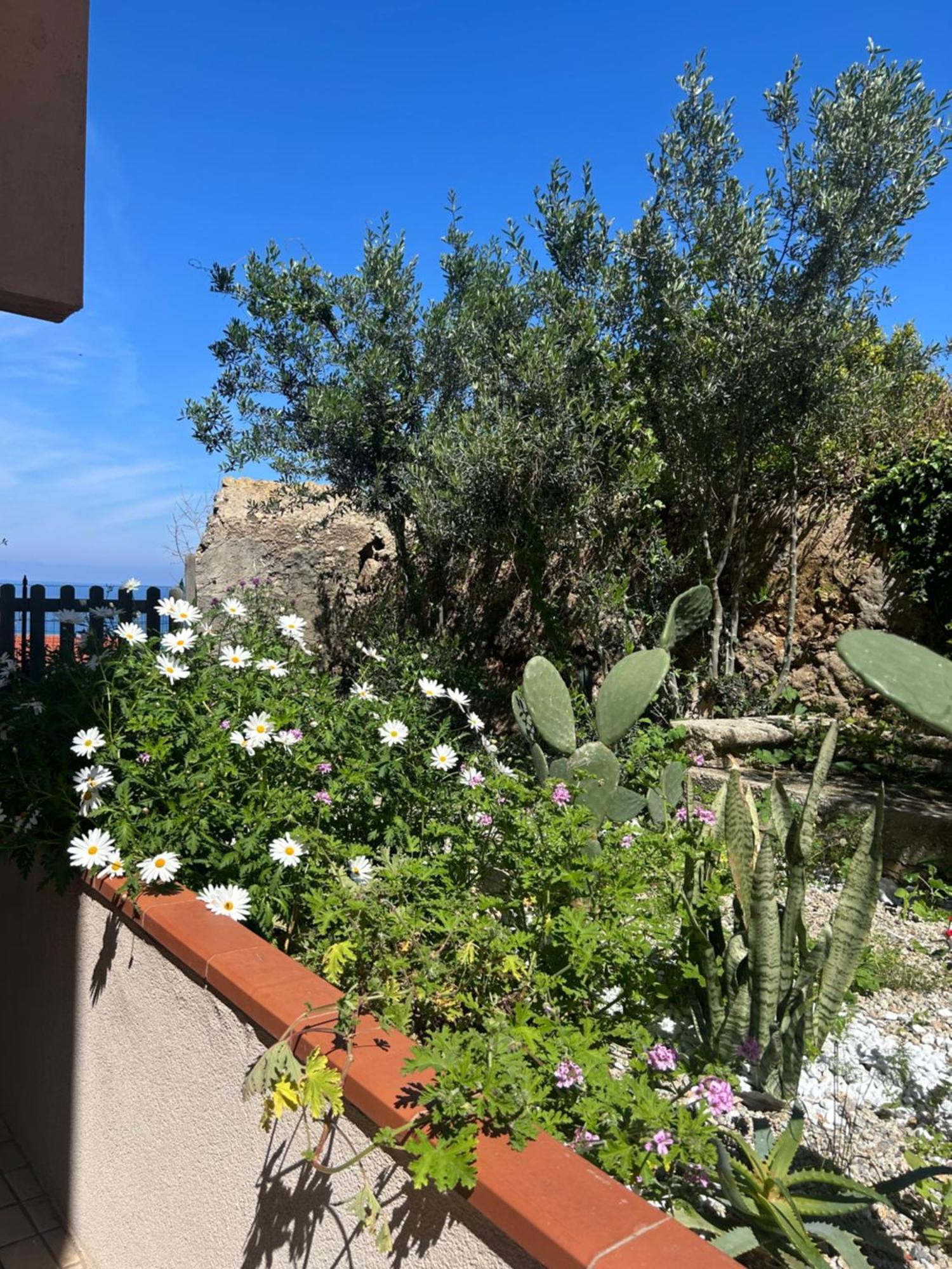 Arcobaleno Tropea Centro Bed & Breakfast エクステリア 写真